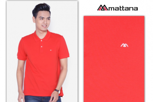 thu-hut-bang-ao-thun-polo-mau-sac