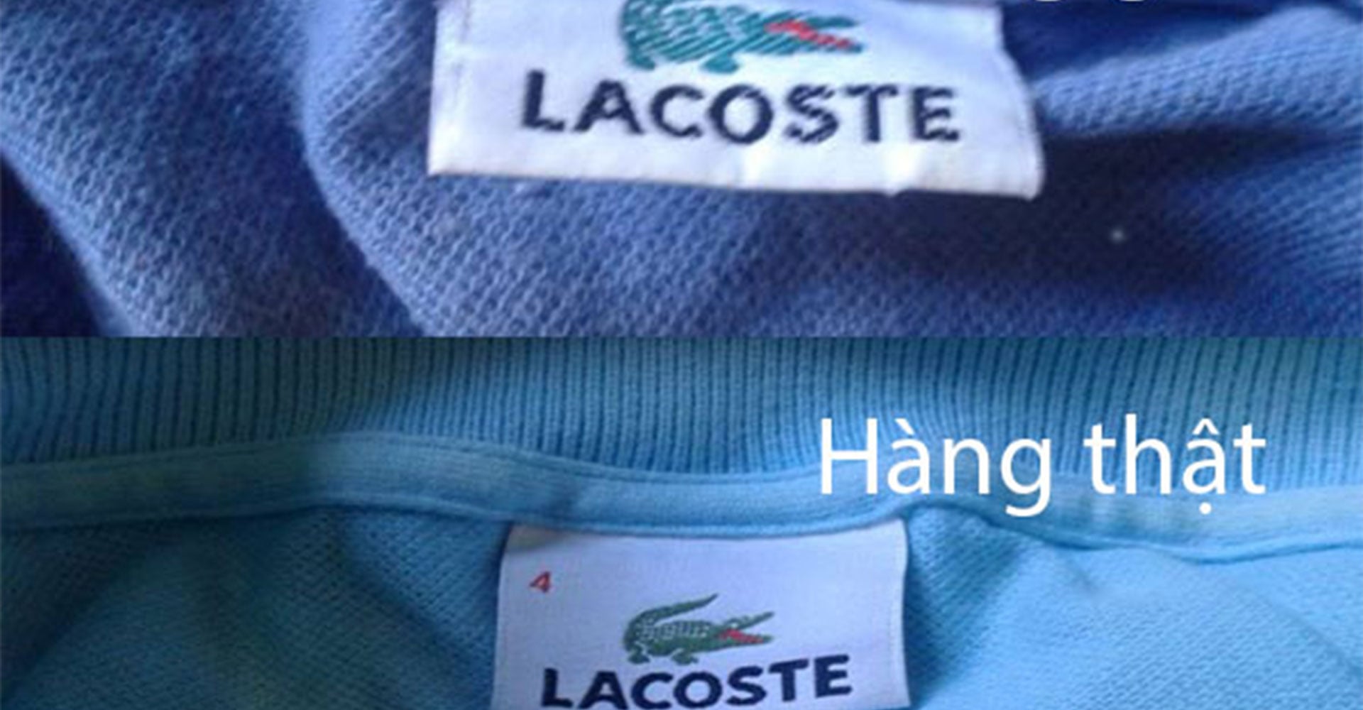 Các dòng sản phẩm của Lacoste